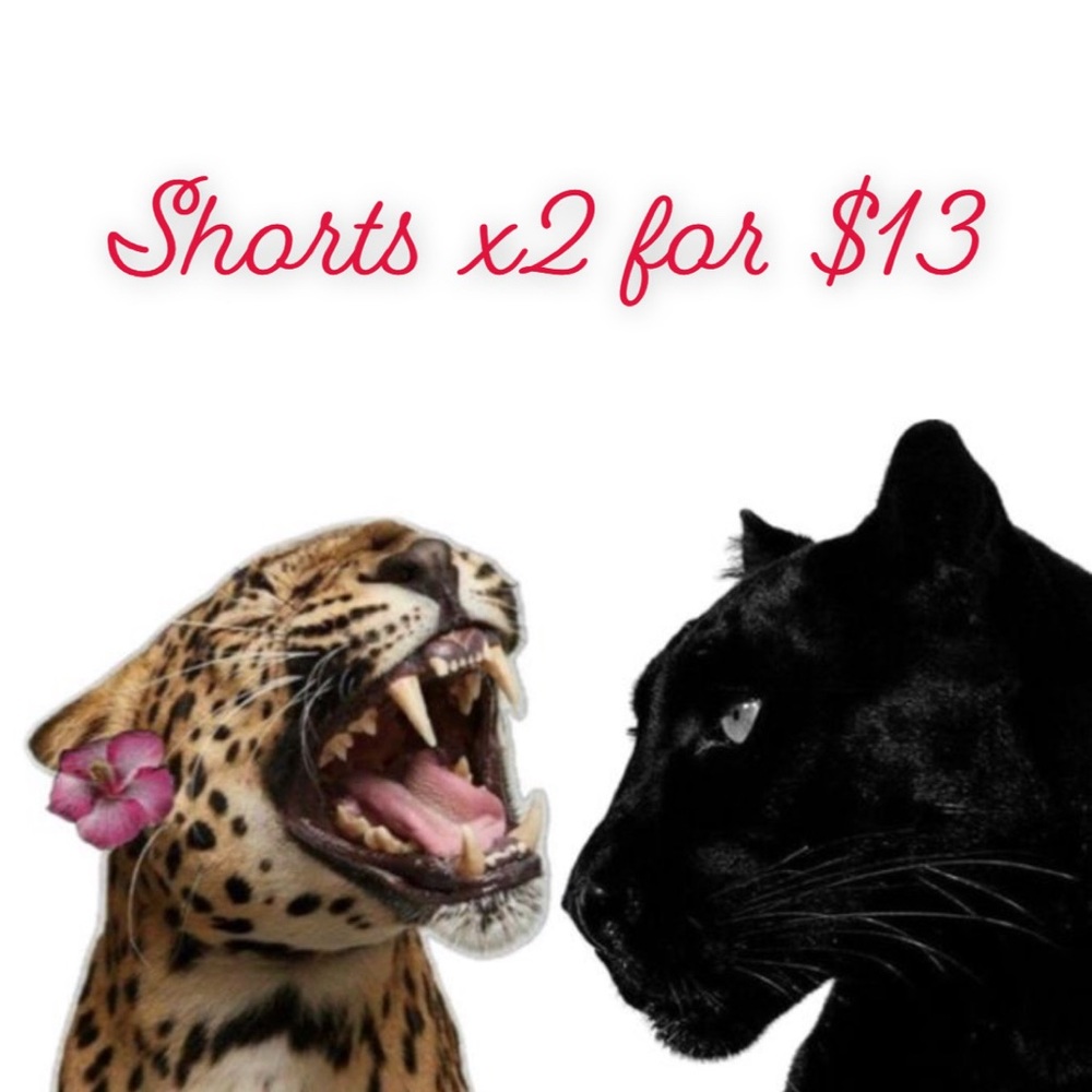 Shorts x2 for $13
